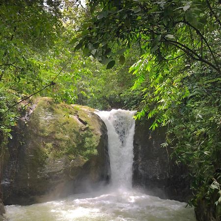 Rio Tico Safari Lodge Punta Mala Zewnętrze zdjęcie