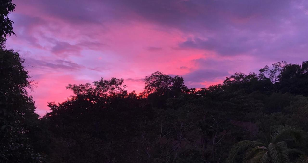 Rio Tico Safari Lodge Punta Mala Zewnętrze zdjęcie