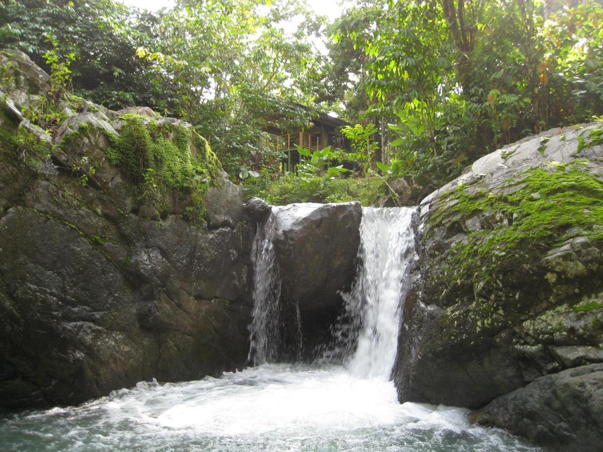 Rio Tico Safari Lodge Punta Mala Zewnętrze zdjęcie