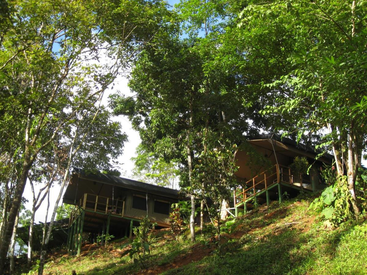 Rio Tico Safari Lodge Punta Mala Zewnętrze zdjęcie