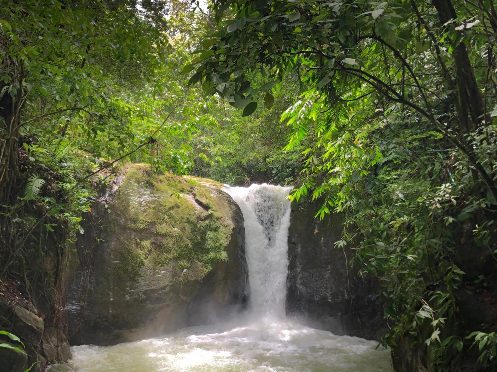 Rio Tico Safari Lodge Punta Mala Zewnętrze zdjęcie